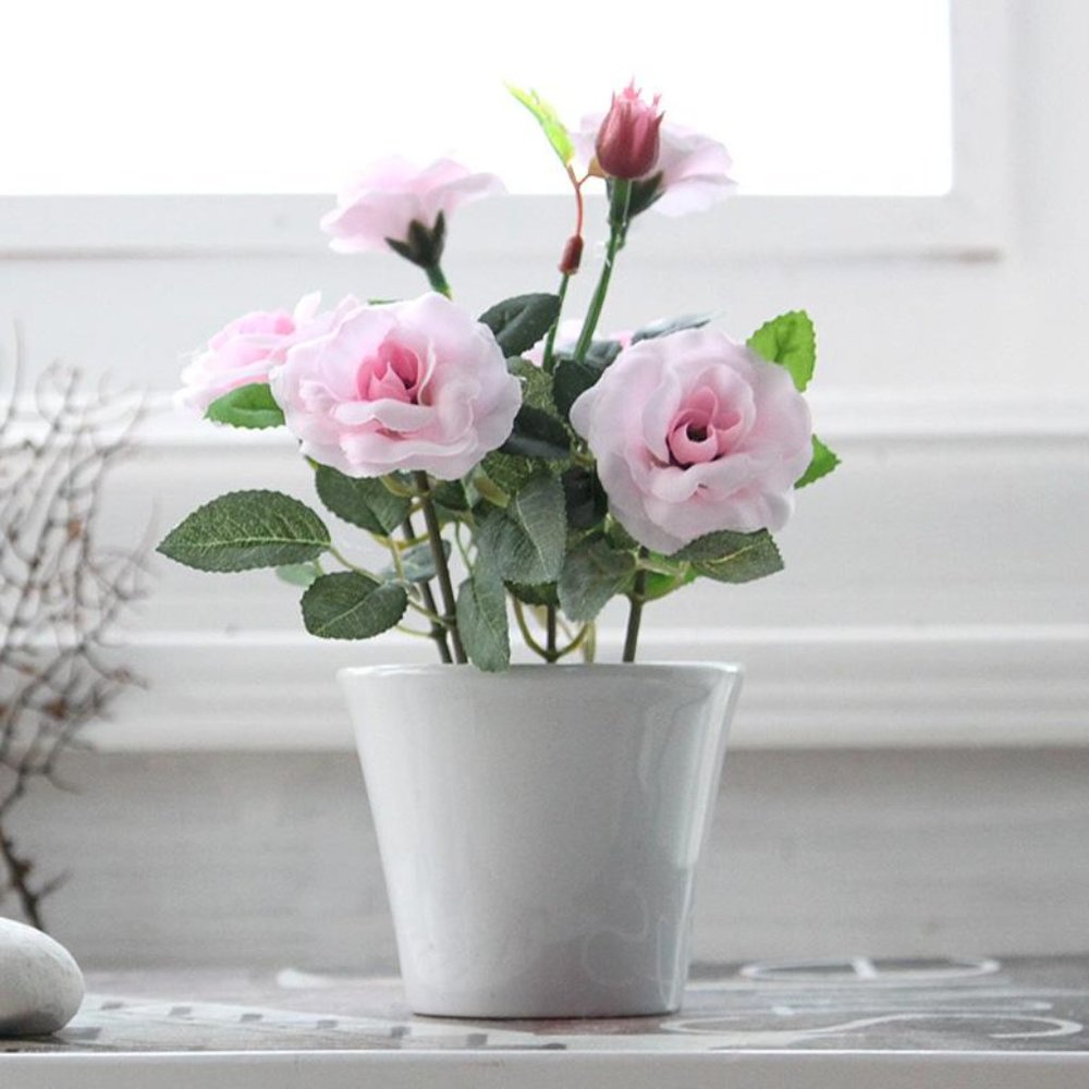 flower 13